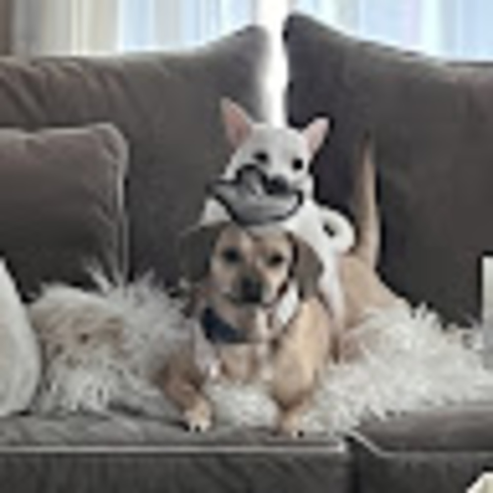 Meet your Posher, Meg